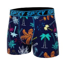 Boxer Spicy |motif Palmiers Color |&#127796;