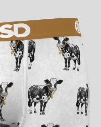 Boxer PSD |  Cash Cow &#128004;