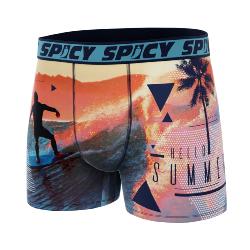 Boxer Spicy |motif Surfing | Summer