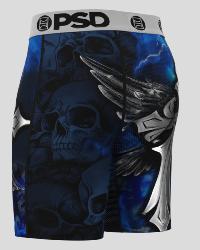 Boxer PSD | Silver Wing &#127879;