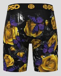 Boxer PSD |  Golden flight &#129419;