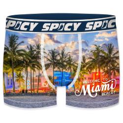 Boxer Spicy |motif Miami | &#127940;&#8205;&#9794;&#65039;