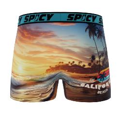 Boxer Spicy |California surf | &#129760;