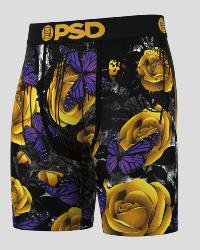 Boxer PSD |  Golden flight &#129419;