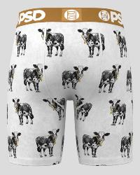 Boxer PSD |  Cash Cow &#128004;