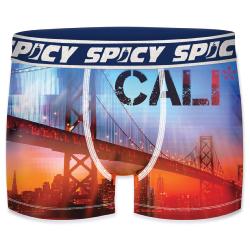Boxer Spicy |motif California | &#127753;