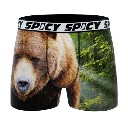 Boxer Spicy |motif Ours | &#128059;