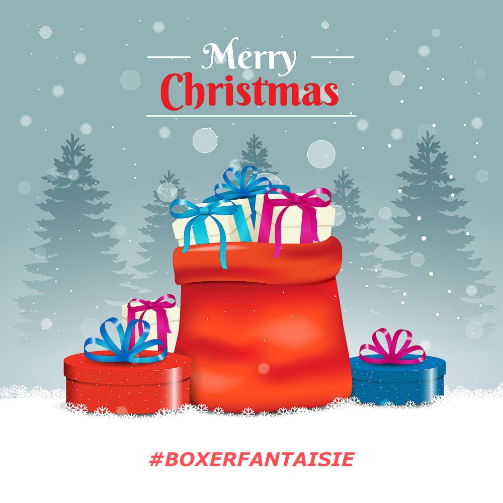 noel boxer fantaisie