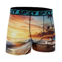 Boxer Spicy |California surf | &#129760;