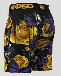 Boxer PSD |  Golden flight &#129419;