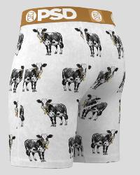 Boxer PSD |  Cash Cow &#128004;