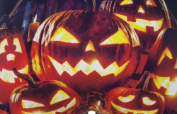 Boxer Freegun |  Halloween 3 &#127875;