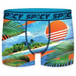 Boxer Spicy |motif Sun Sea|&#127796; 
