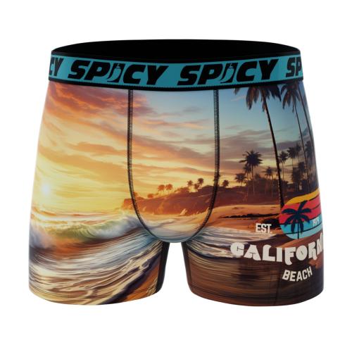 Boxer Spicy |California surf | &#129760;
