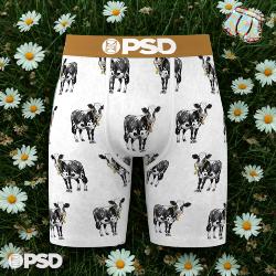 Boxer PSD |  Cash Cow &#128004;