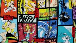 Boxer Enfant  |Freegun | Asterix et Obelix 